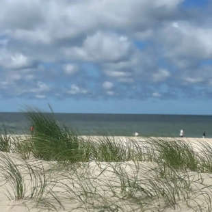 Фотография квартиры Апартаменты на море Marinella