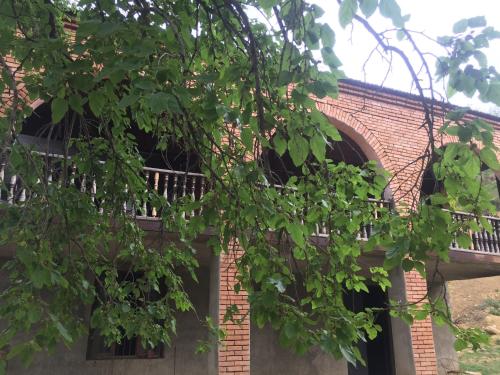 Фотография базы отдыха Mtskheta Camps