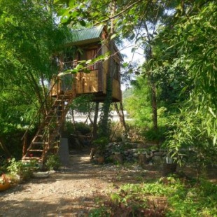 Фотография гостевого дома Robinson Crusoe