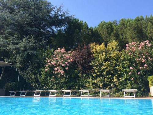 Фотография мини отеля Magnolia Room & Breakfast