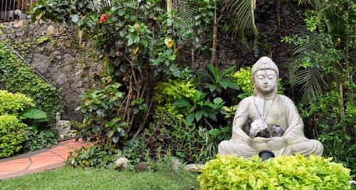 Фотография гостиницы Hotel Teocalli