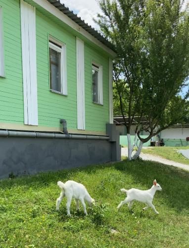 Фотография базы отдыха Кедр