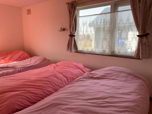 Фотография гостевого дома STAY Sakura