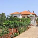 Фотография гостевого дома Apartments by the sea Ugljan - 8257