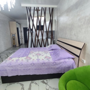 Фотография квартиры Апартаменты Эко-грин