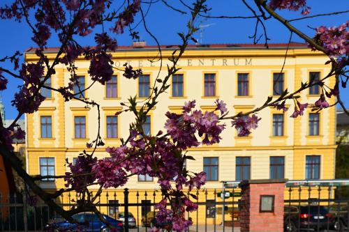 Фотография гостиницы Hotel Centrum