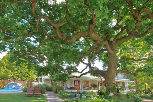 Фотография мини отеля Montagu Vines Guesthouse