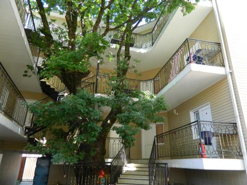 Фотография гостевого дома Лукоморье