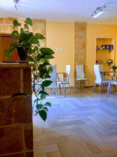 Фотография мини отеля B&B Zio Cici