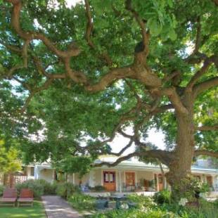 Фотографии мини отеля 
            Montagu Vines Guesthouse