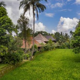 Фотографии гостиницы 
            Ananda Ubud Resort