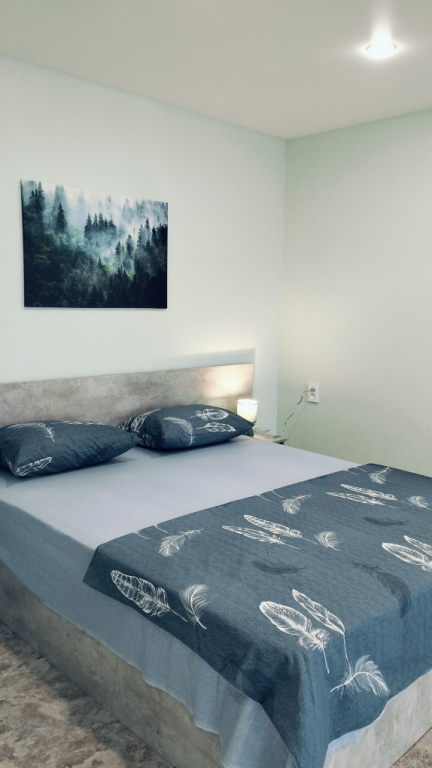 Фотография квартиры Квартира 1к Володарского 15 Центр