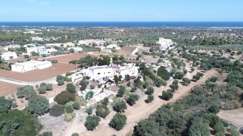 Фотография мини отеля Masseria Pelosella B&B