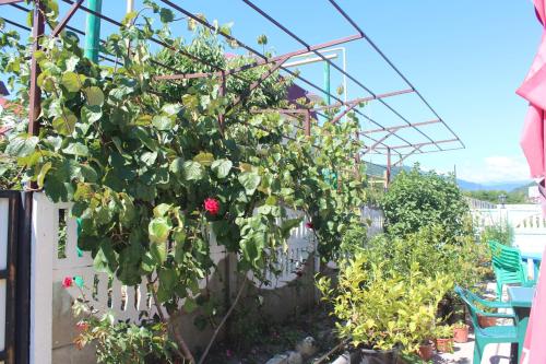 Фотографии гостевого дома
Ангел