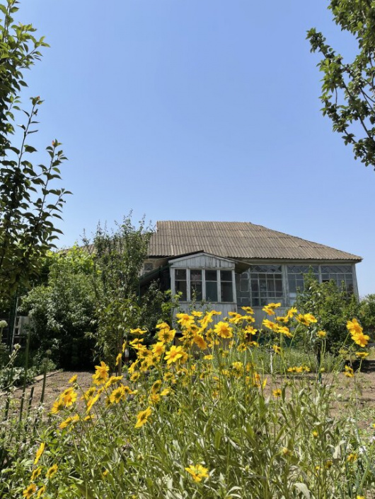 Фотографии Коттеджа
Частный дом в цветущем саду