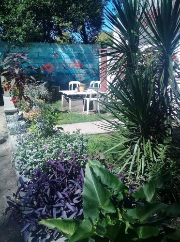 Фотография гостевого дома Hostel El Refugio de Las Aves