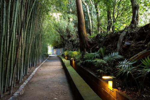 Фотография гостевого дома Quinta da Mo