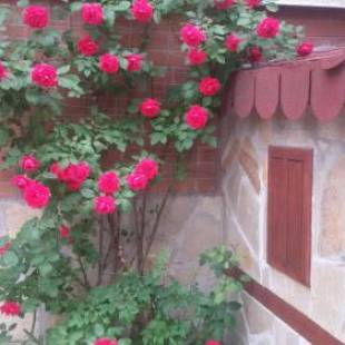 Фотографии гостевого дома 
            Vesi's Rooms