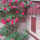 Фотография гостевого дома Vesi's Rooms