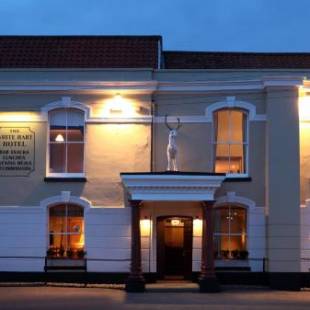 Фотографии гостиницы
The White Hart Hotel
