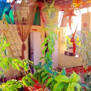 Фотографии гостиницы
Golden Marigold Hotel