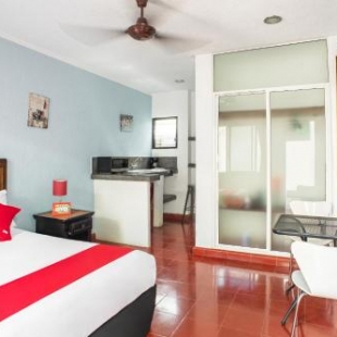 Фотография гостиницы Hotel Dpas 52