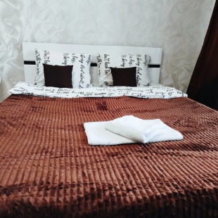 Фотография квартиры Апартаменты 1 Аэропорт Толмачево