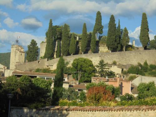 Фотография гостевого дома Maison Chaberlin