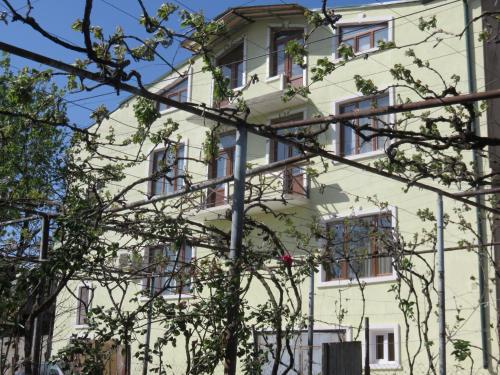 Фотография хостела Maluano