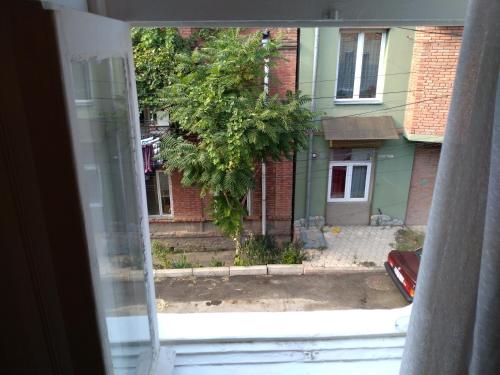 Фотография хостела N1