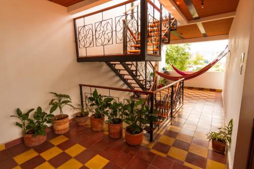 Фотография хостела Havana Hostel Cali & Dance School