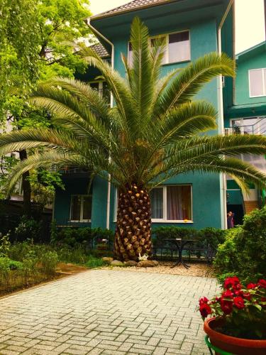 Фотографии мини отеля 
            Пижама