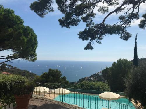 Фотография базы отдыха Agriturismo Uliveto Saglietto