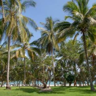 Фотографии гостиницы
Senda Casalina Ecolodge