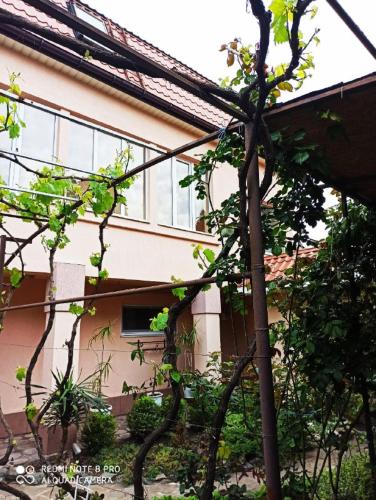 Фотография гостиницы На Итальянской