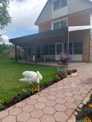 Фотография гостевого дома Южная Гавань