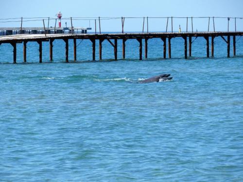 Фотографии гостевого дома
Шевченко, 76а