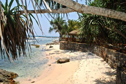 Фотографии гостиницы
Satin Doll