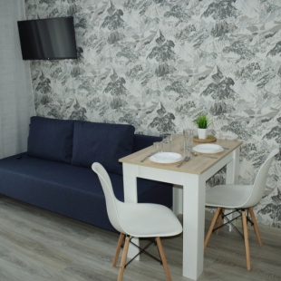 Фотография квартиры Апартаменты у Аэропорта Толмачево 1