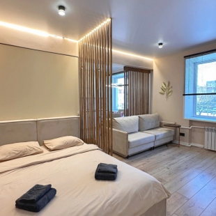 Фотография квартиры Апартаменты на Володарского 50