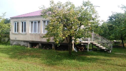 Фотографии гостевого дома
Forest Guest House