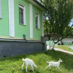 Фотография базы отдыха Кедр