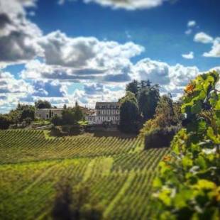 Фотографии гостевого дома
Chateau La Fontaine