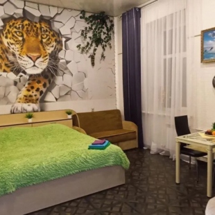 Фотография квартиры Квартира на Крестовой улице 27