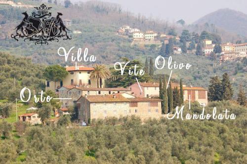 Фотография базы отдыха Fattoria di Fubbiano