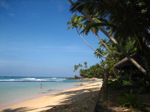 Фотография гостиницы Galawatta Beach Resort