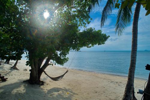 Фотография гостиницы At Samui Haus