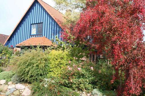 Фотография гостевого дома Blaues Haus