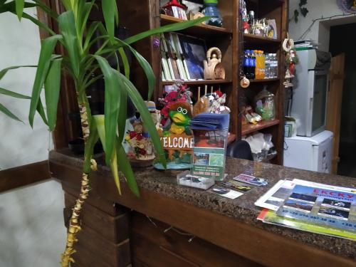 Фотографии гостиницы
Зербань