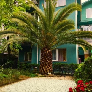 Фотография мини отеля Пижама